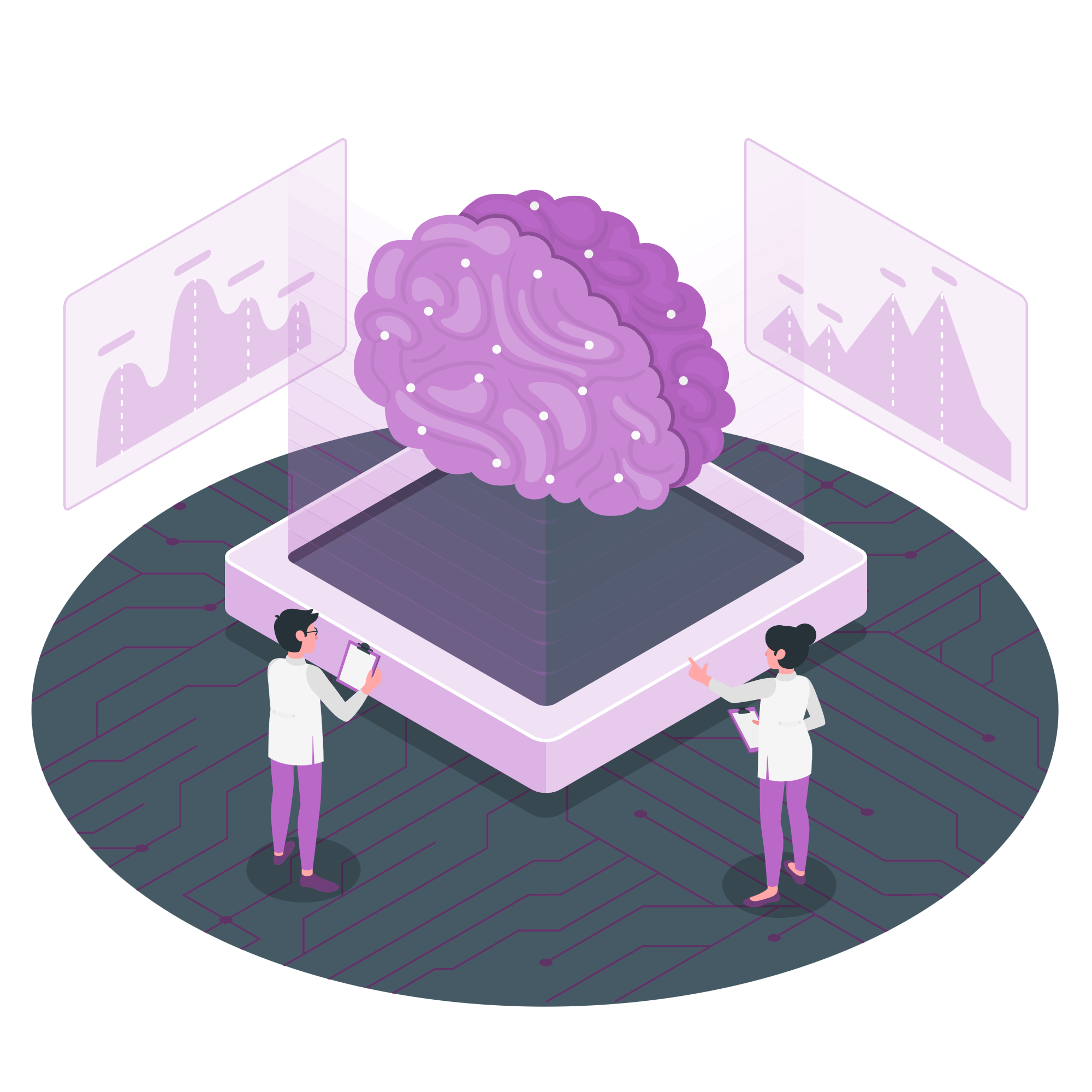 brain
